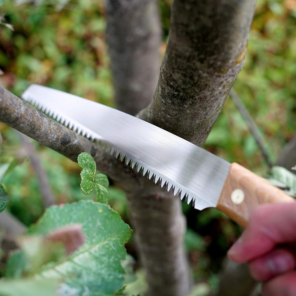 Pruning Saw